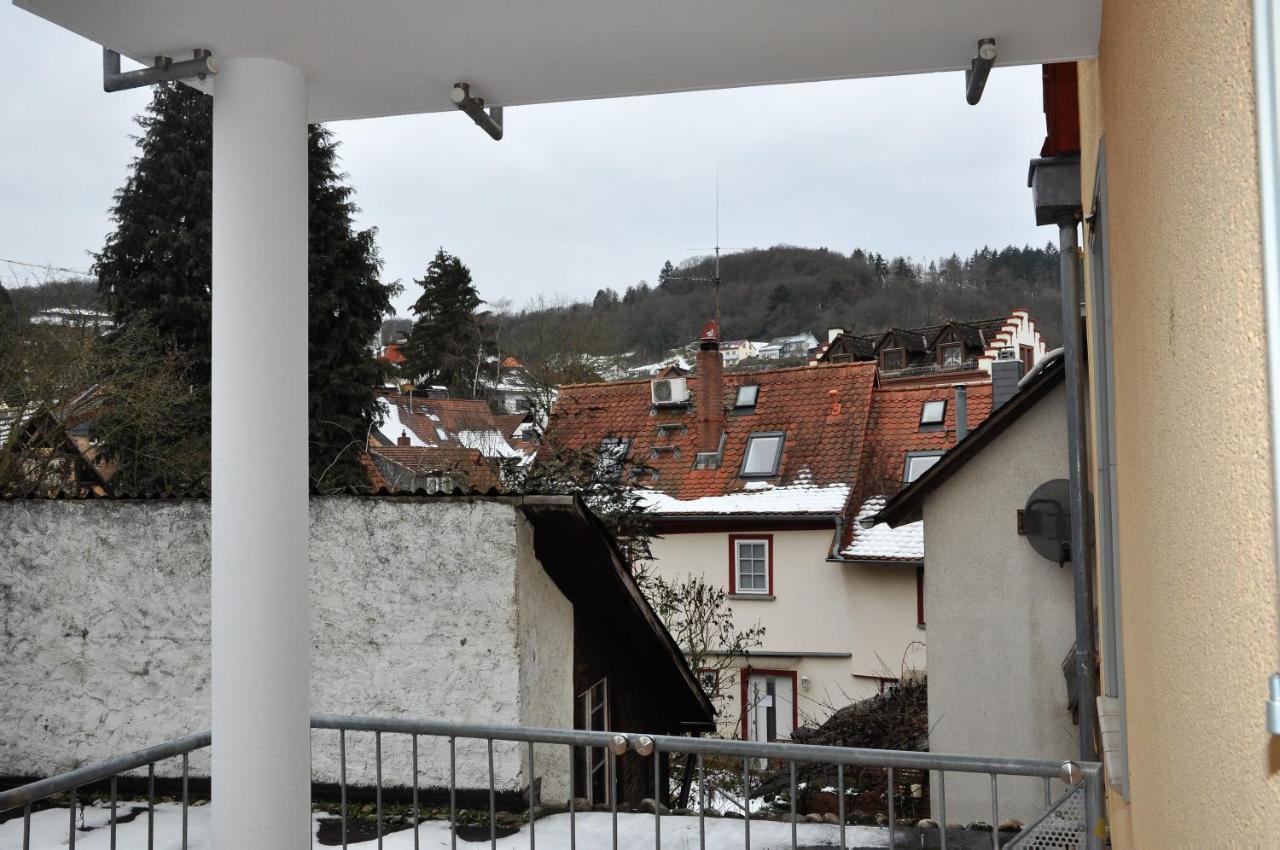 Apartmenthaus Am Zimmerplatz Hofheim am Taunus Εξωτερικό φωτογραφία