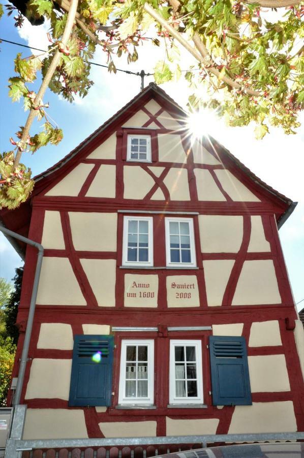 Apartmenthaus Am Zimmerplatz Hofheim am Taunus Εξωτερικό φωτογραφία